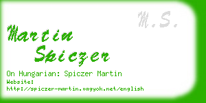 martin spiczer business card